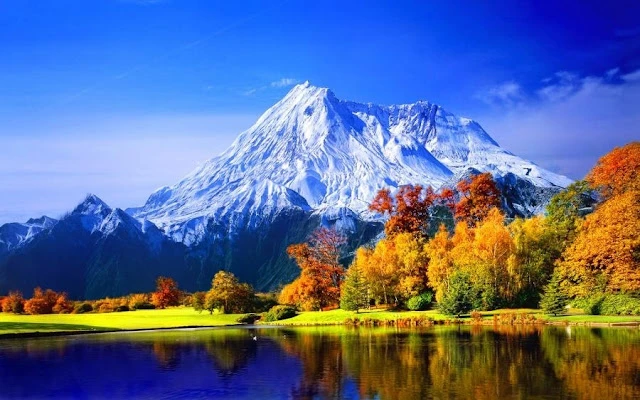 Văn Hùng Đinh